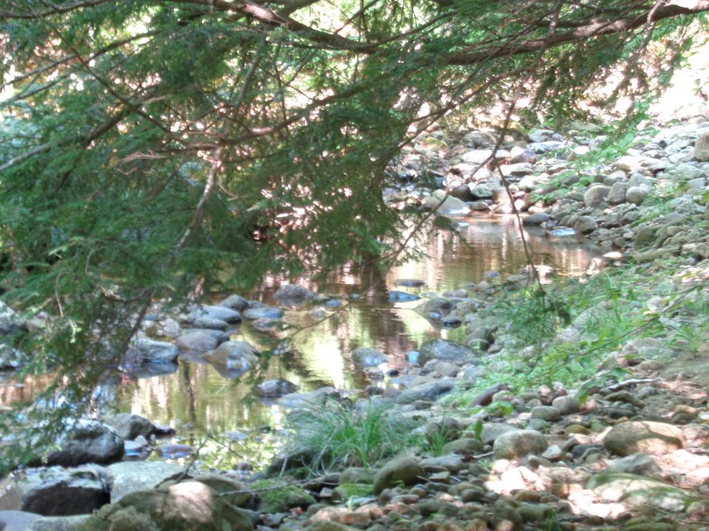 155 North Groton Road Hebron, NH 03241 - Photo 8 of 36