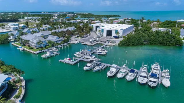 an aerial view of a house with outdoor space swimming pool and lake view