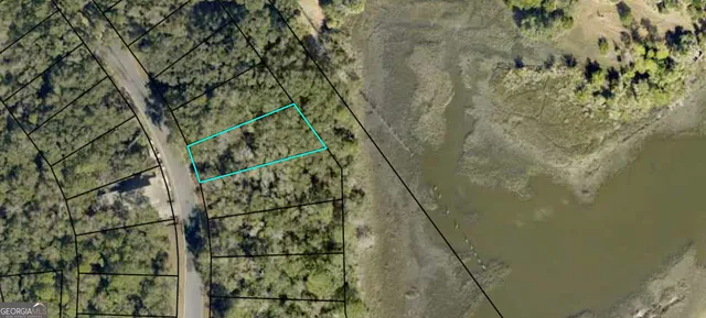 a aerial view of a house with swimming pool and large trees