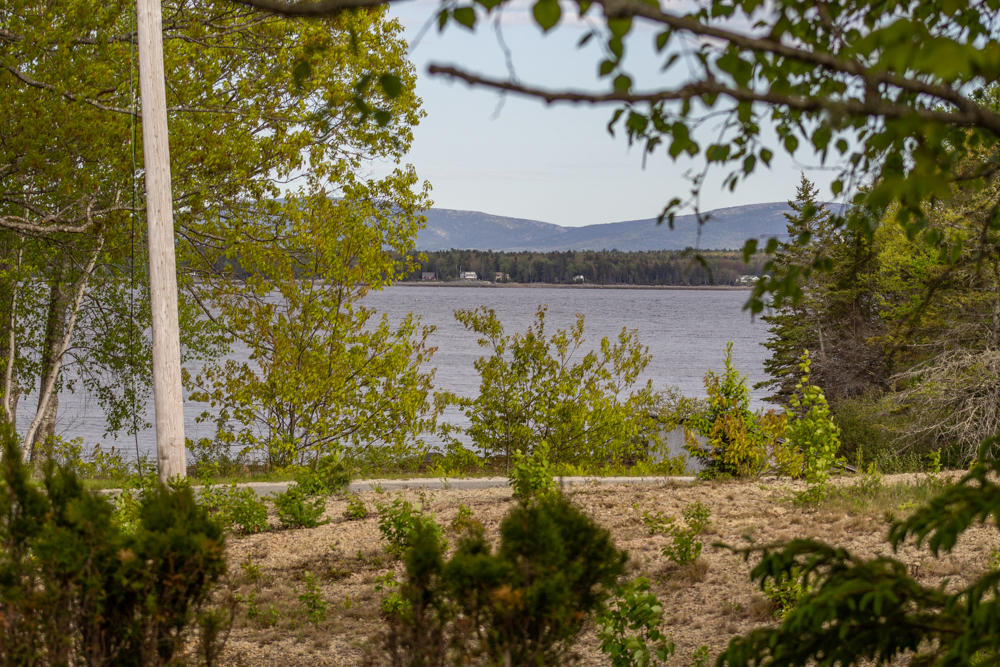 1175 Newbury Neck Road Surry, ME 04684 - Photo 9 of 44 007c