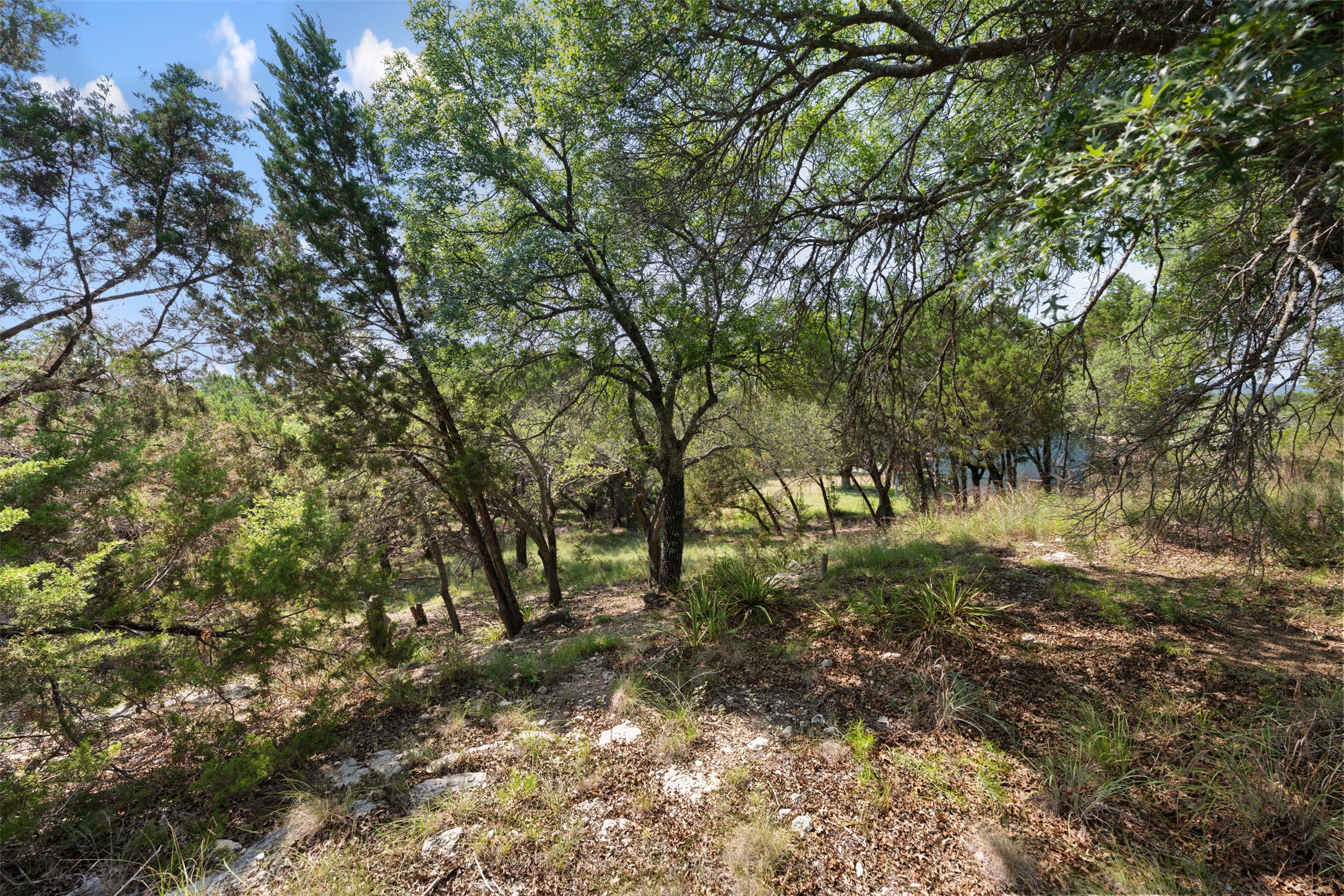 21105 Ridgeview Road Lago Vista, TX 78645 - Photo 20 of 34 Mature trees and natural foliage create a private, serene setting.