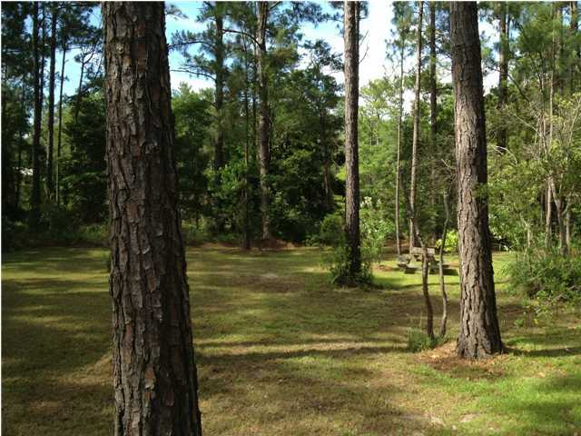 Lot 53-9 West W Point Santa Rosa Beach, FL 32459 - Photo 1 of 5 Gallery Image 1