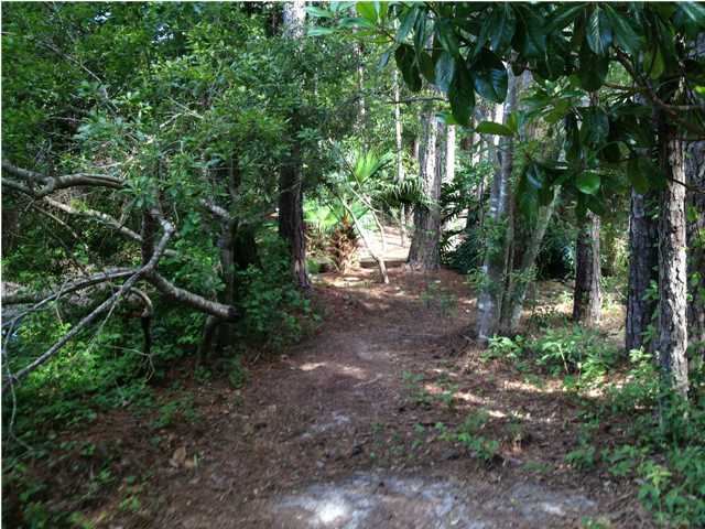 Lot 53-9 West W Point Santa Rosa Beach, FL 32459 - Photo 3 of 5 Gallery Image 3