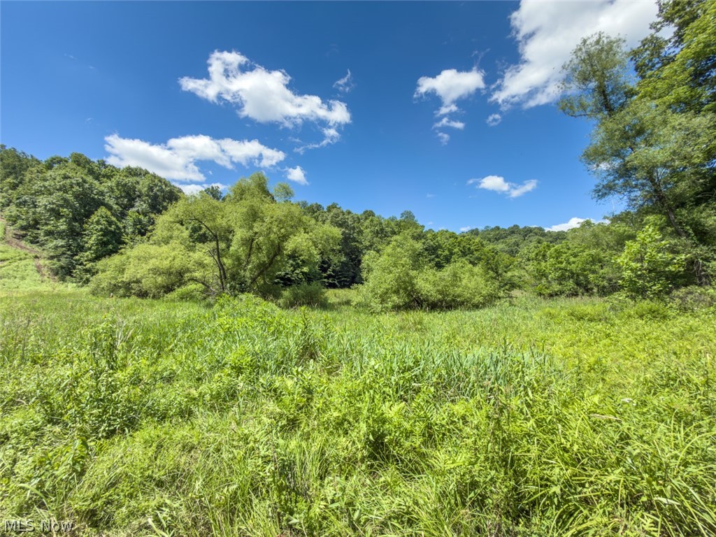 6985 Brush Run Road Cambridge, OH 43725 - Photo 43 of 50