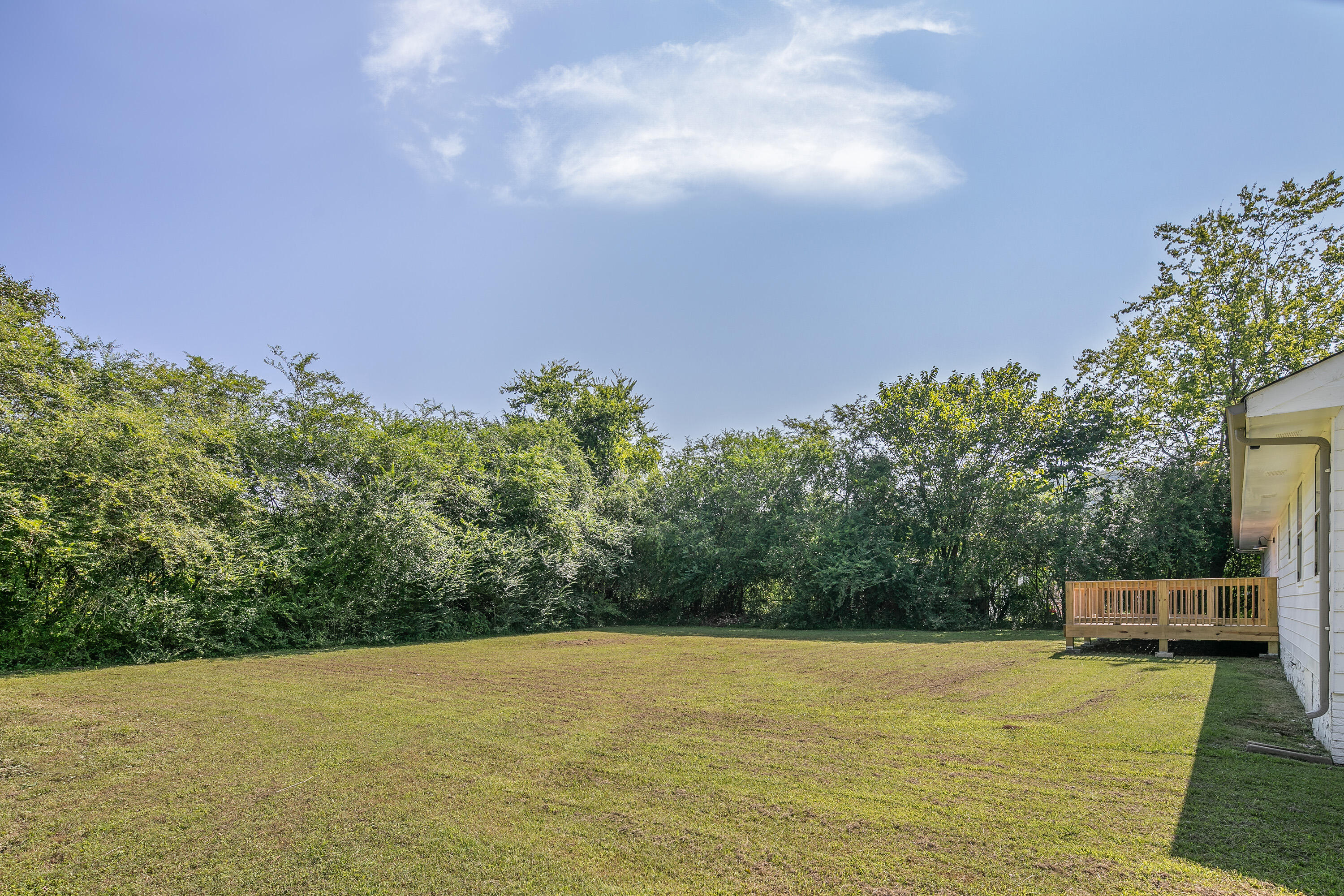6003 Shirley Pond Road Harrison, TN 37341 - Photo 20 of 22 6003 Shirley Pond Rd_Back Yard 2_by 161