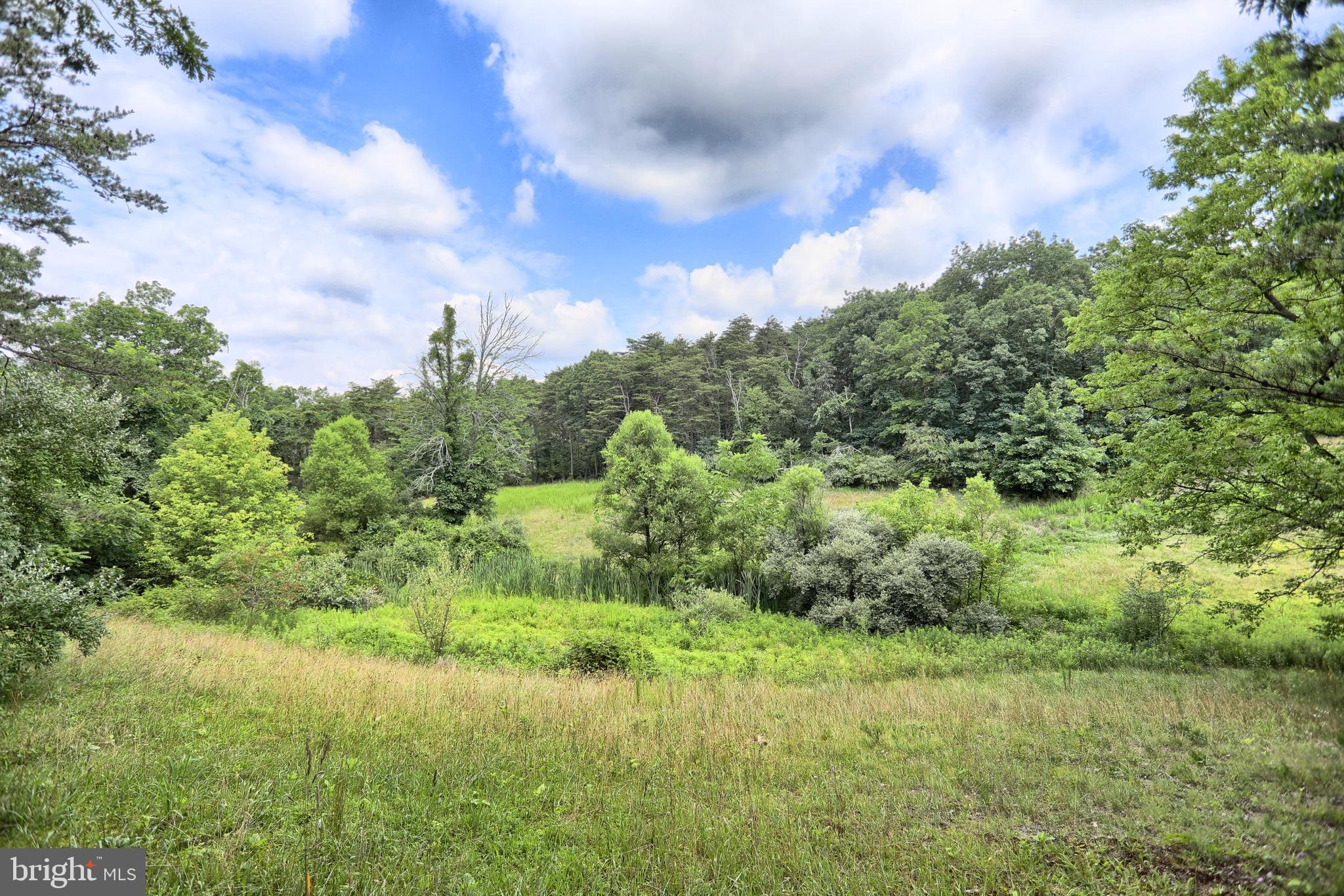 180 Beagle Club Road Carlisle, PA 17013 - Photo 14 of 61 Gallery Image 14