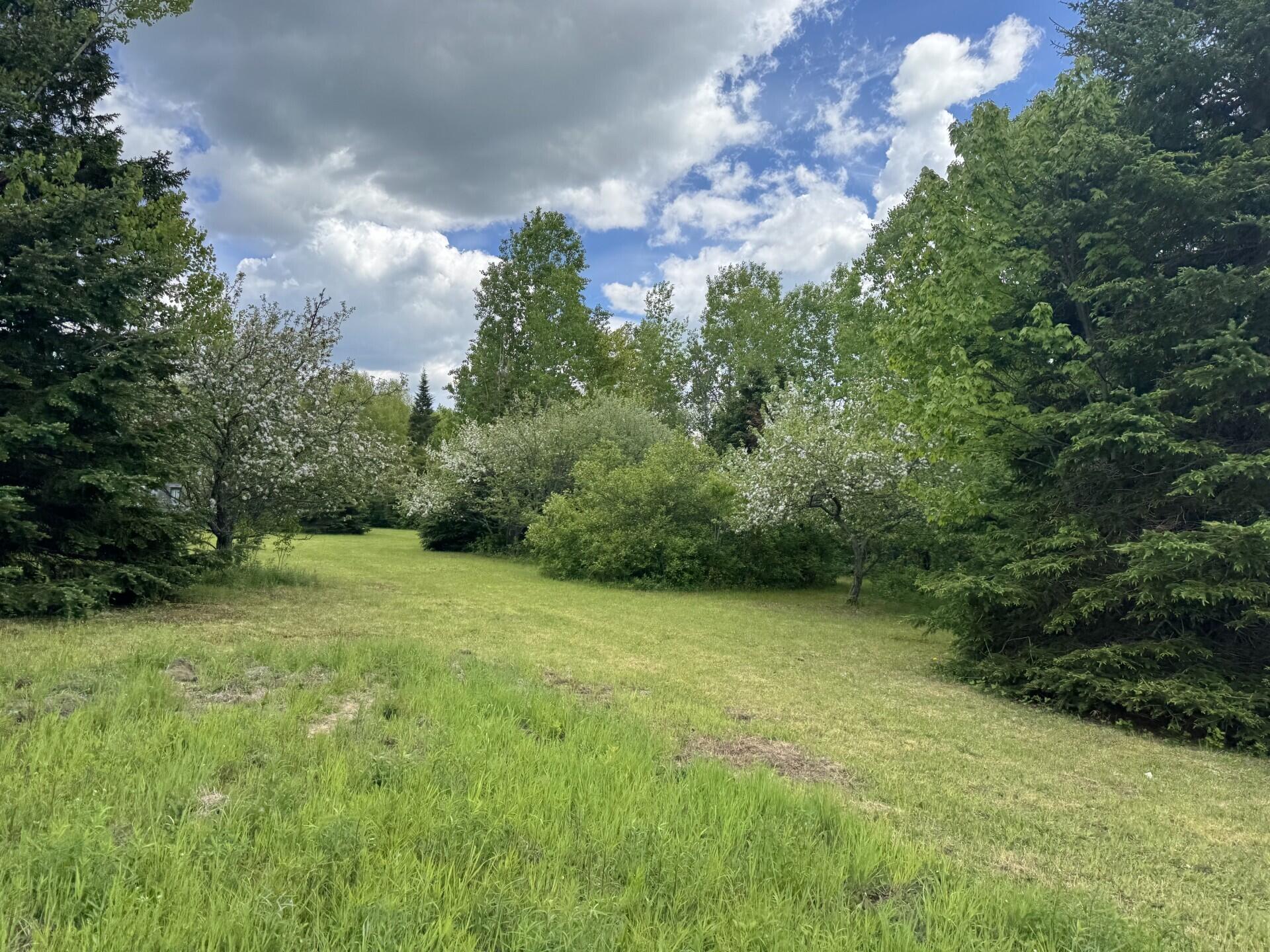 328 Clark Road Merrill, ME 04780 - Photo 39 of 55 Camp Yard (328 Clark Road) V