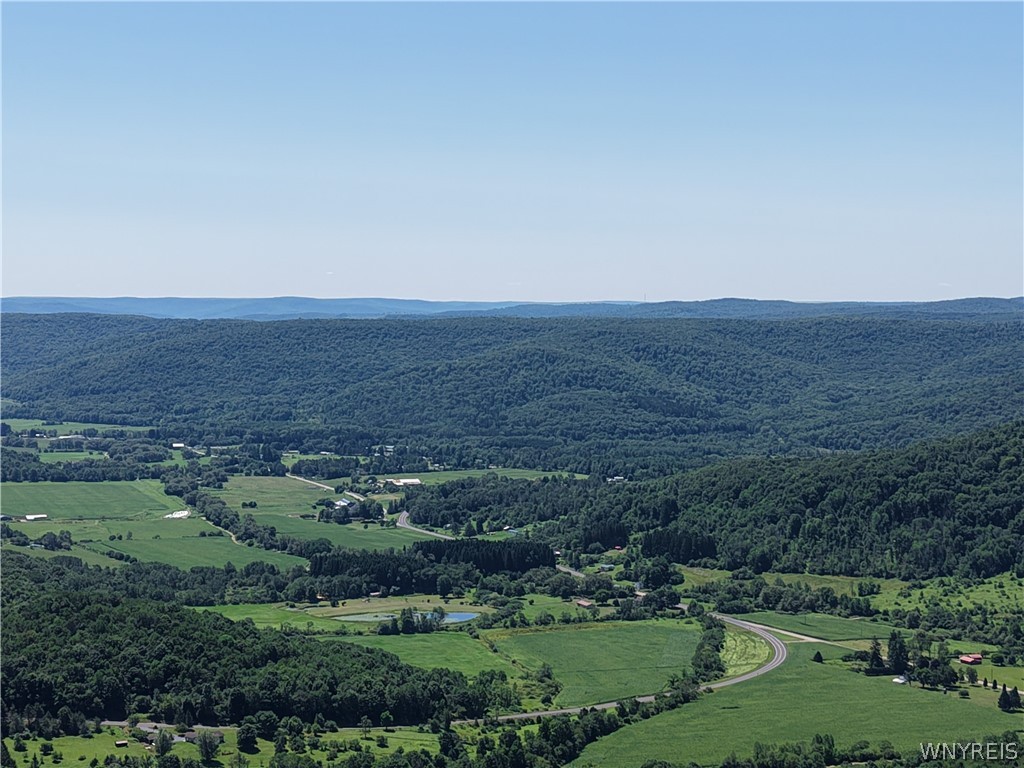 Dublin Hills Rd Road Salamanca, NY 14779 - Photo 20 of 24 Gallery Image 20