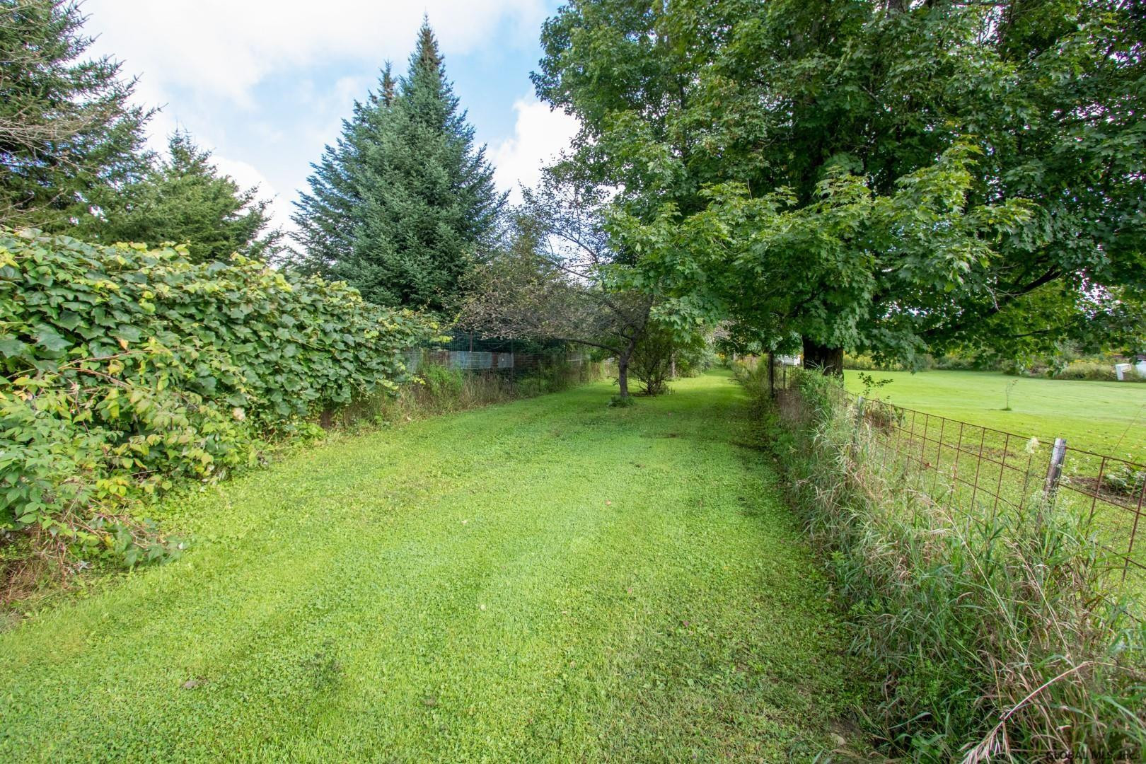1603 Charlotte Valley Road Summit, NY 12175 - Photo 5 of 38 Photo 5