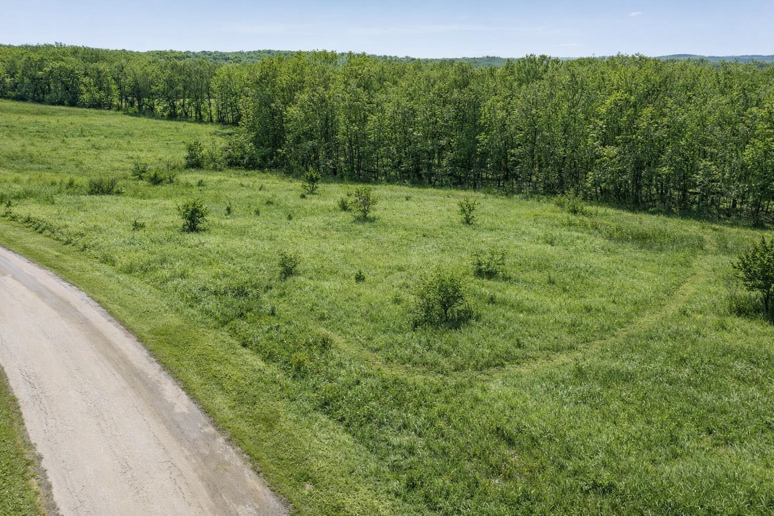 Lots 1024-1025 Blue Ridge La Valle, WI 53941 - Photo 12 of 23