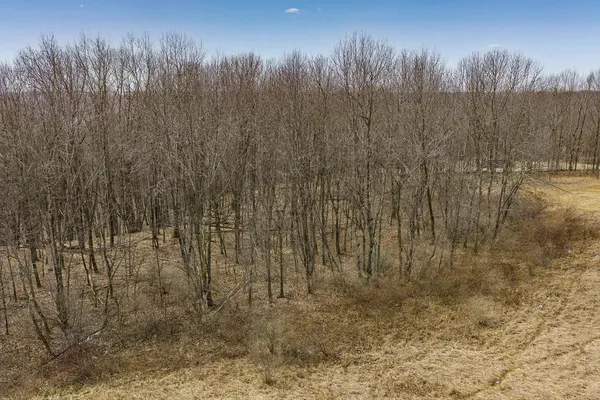 $73,500 | Lots 1024-1025 Blue Ridge, La Valle, WI 53941