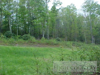 Claude Mash Road Jefferson, NC 28640 - Photo 1 of 1 Gallery Image 1