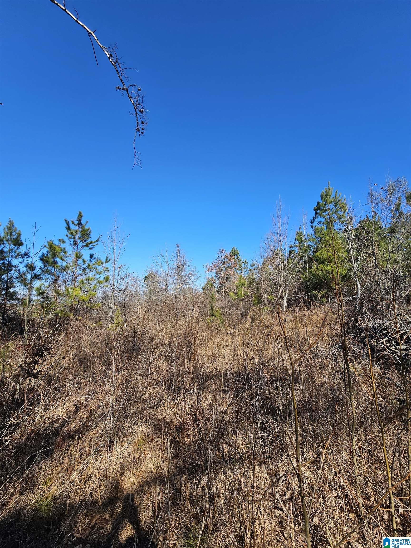 0 County Road 138 Jemison, AL 35085 - Photo 1 of 5