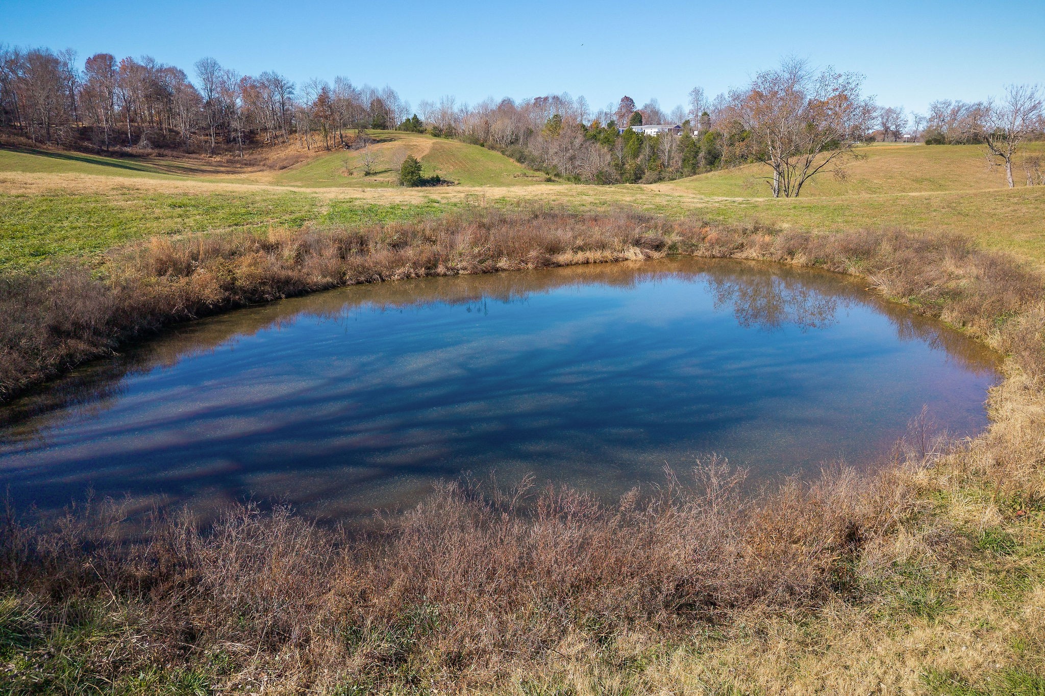 0 East Bethlehem Road Doyle, TN 38559 - Photo 7 of 26 Gallery Image 7