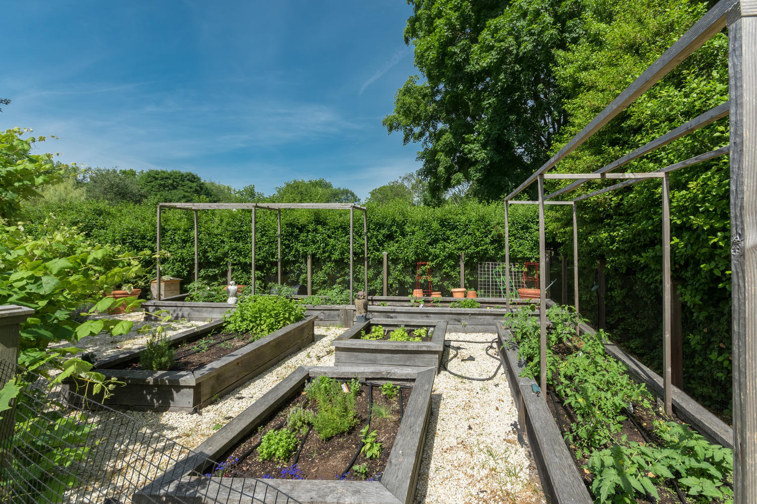 112 5 Mile River Road Darien, CT 06820 - Photo 29 of 34 a view of a chairs and table in a backyard
