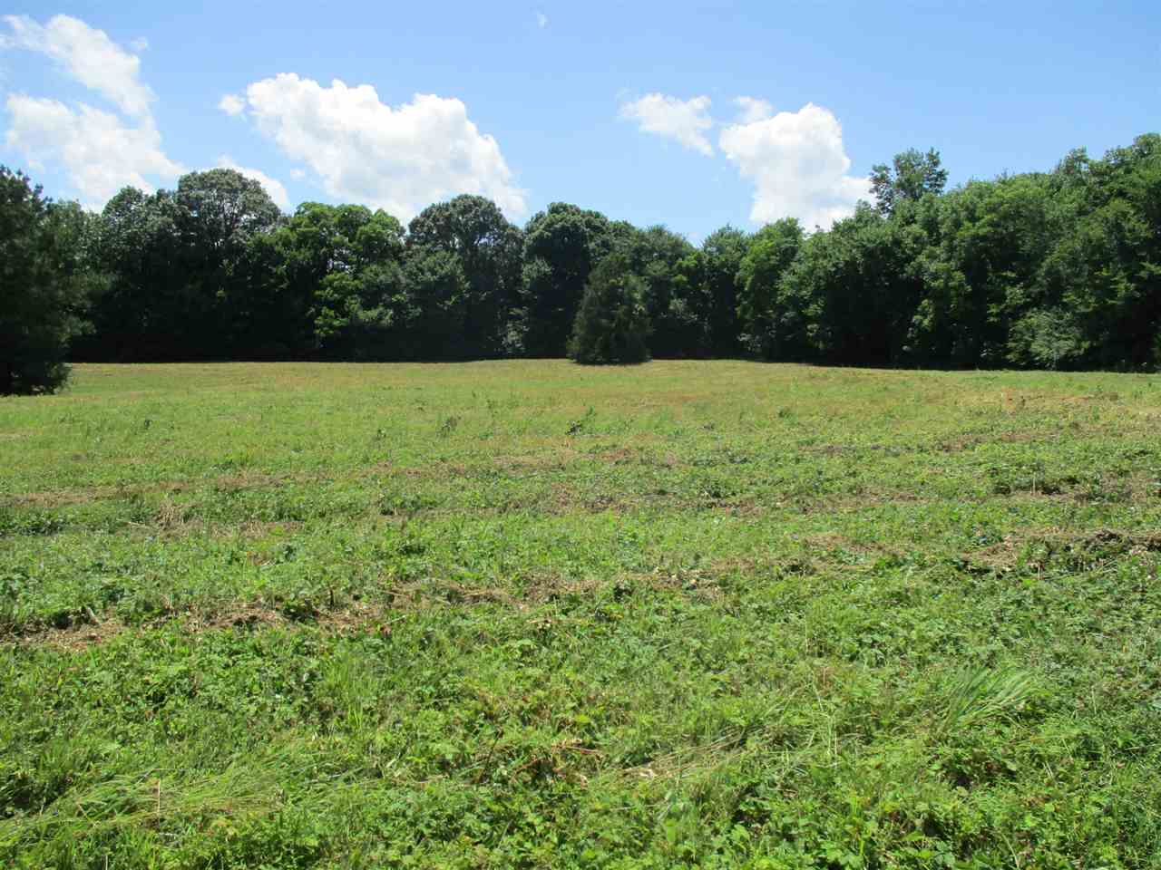 1940 Talley Store Road Henderson, TN 38340 - Photo 1 of 15 a view of outdoor space with green field and trees