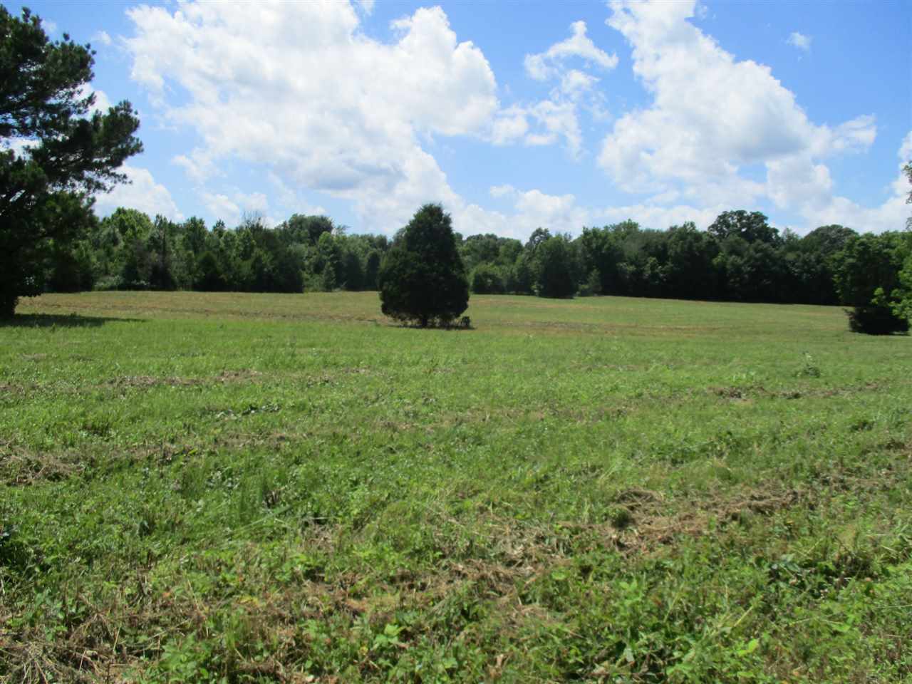1940 Talley Store Road Henderson, TN 38340 - Photo 13 of 15 a view of an outdoor space and a yard