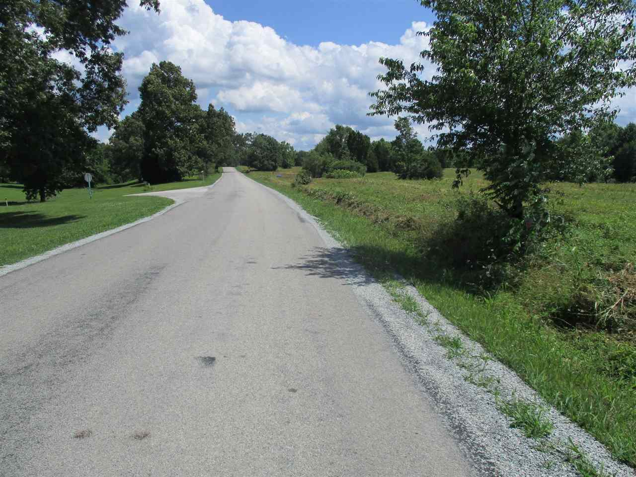 1940 Talley Store Road Henderson, TN 38340 - Photo 15 of 15 a view of a road with a yard