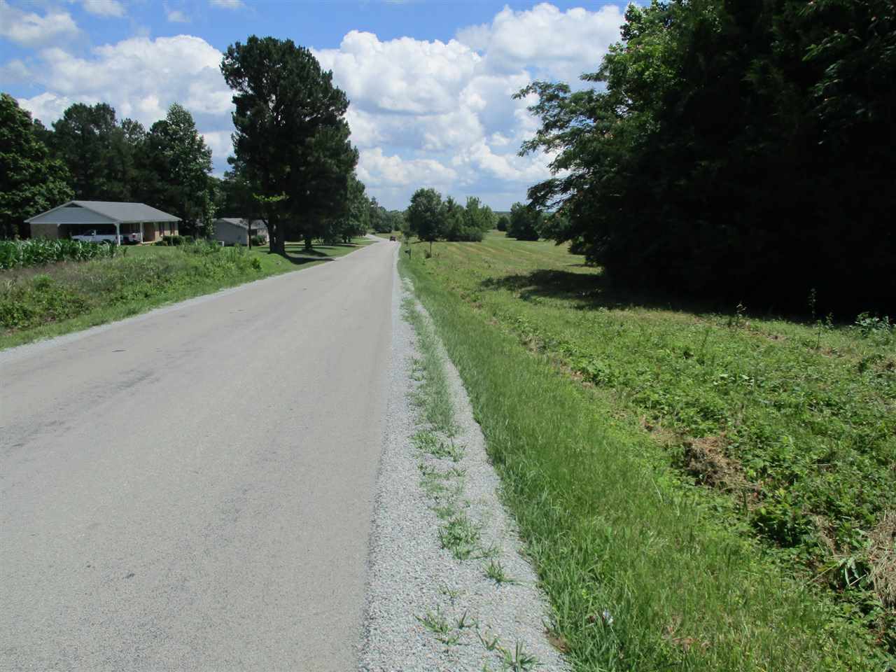 1940 Talley Store Road Henderson, TN 38340 - Photo 2 of 15 a view of a yard with plants