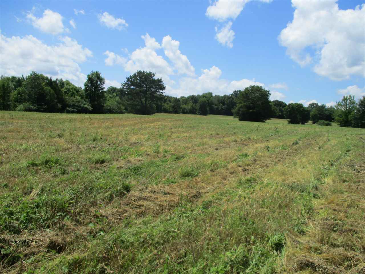 1940 Talley Store Road Henderson, TN 38340 - Photo 5 of 15 a view of an outdoor space and a yard