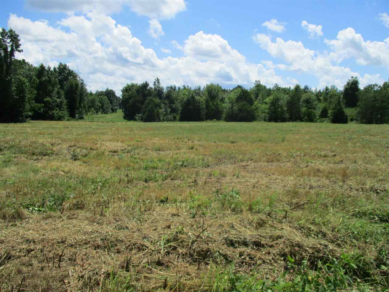1940 Talley Store Road Henderson, TN 38340 - Photo 6 of 15 a view of an outdoor space with a lake view