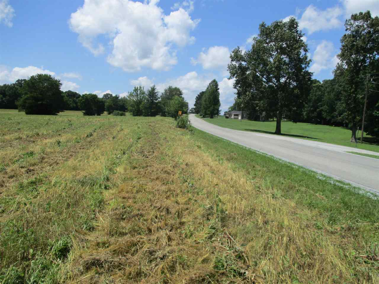 1940 Talley Store Road Henderson, TN 38340 - Photo 7 of 15 a view of a field with of trees in background