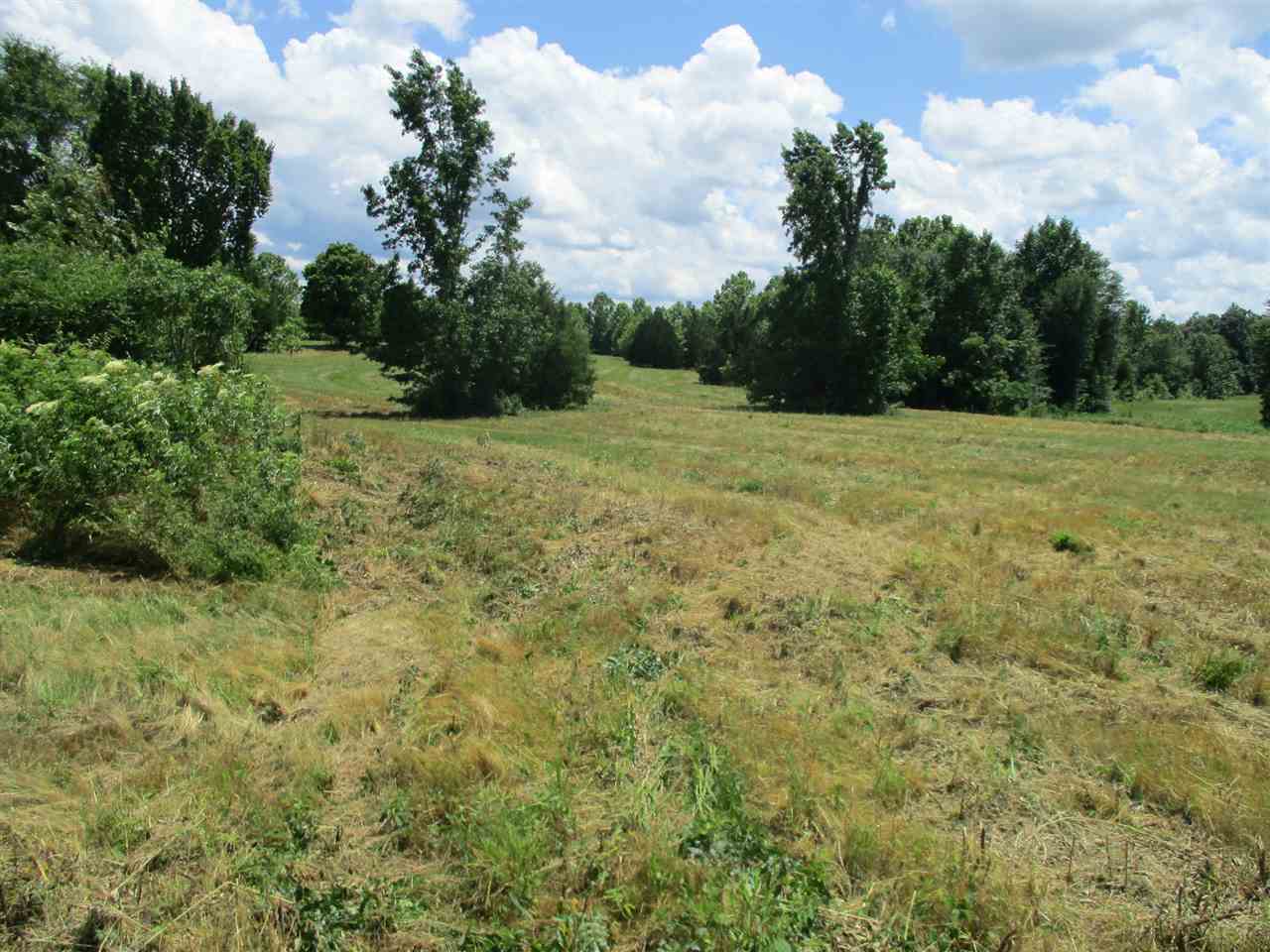 1940 Talley Store Road Henderson, TN 38340 - Photo 8 of 15 a view of a field with trees in background
