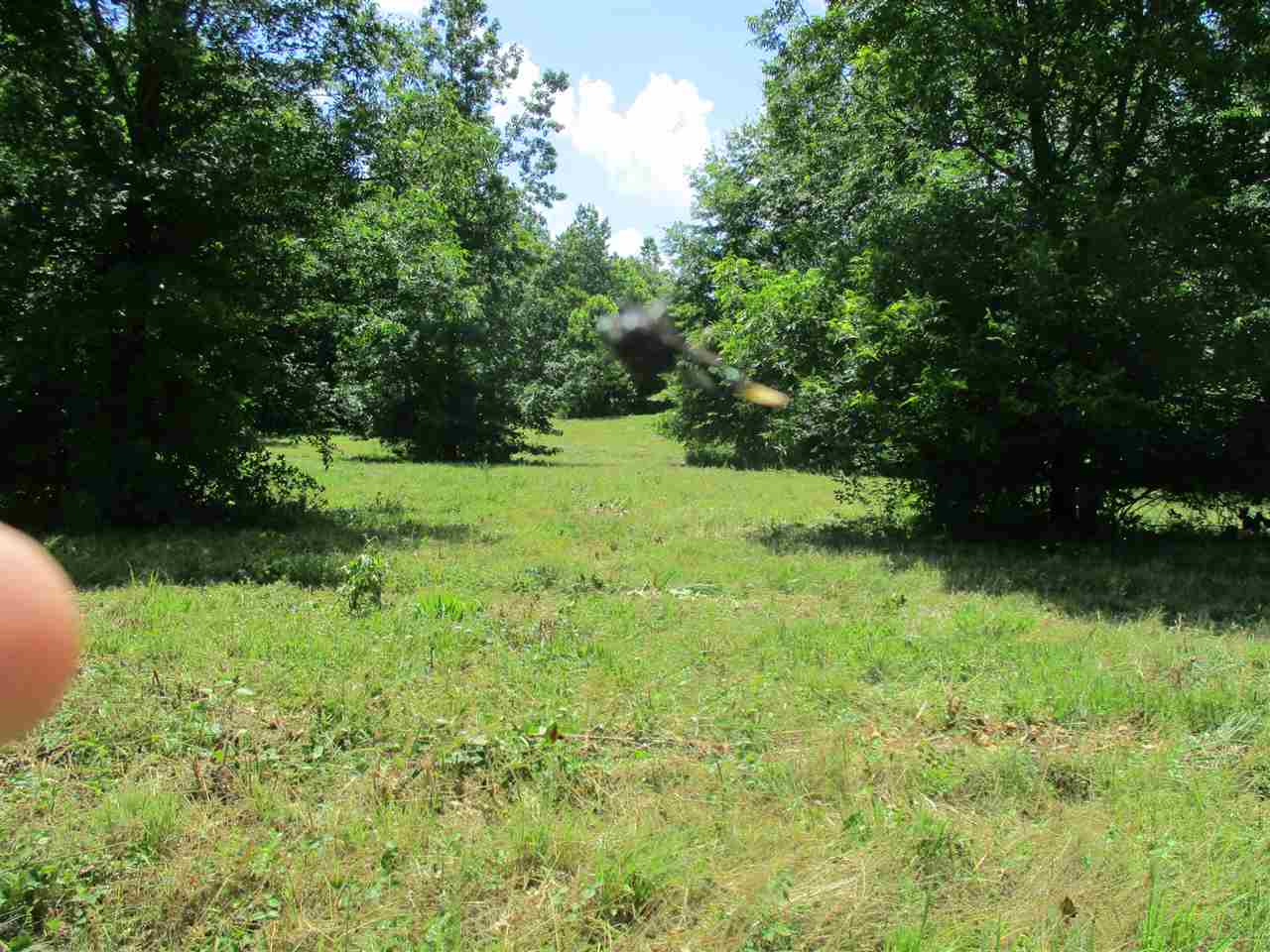 1940 Talley Store Road Henderson, TN 38340 - Photo 10 of 15 a view of an outdoor space and a yard