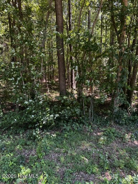 Lot 1 Dan Road Robbins, NC 27325 - Photo 4 of 20 IMG_5019