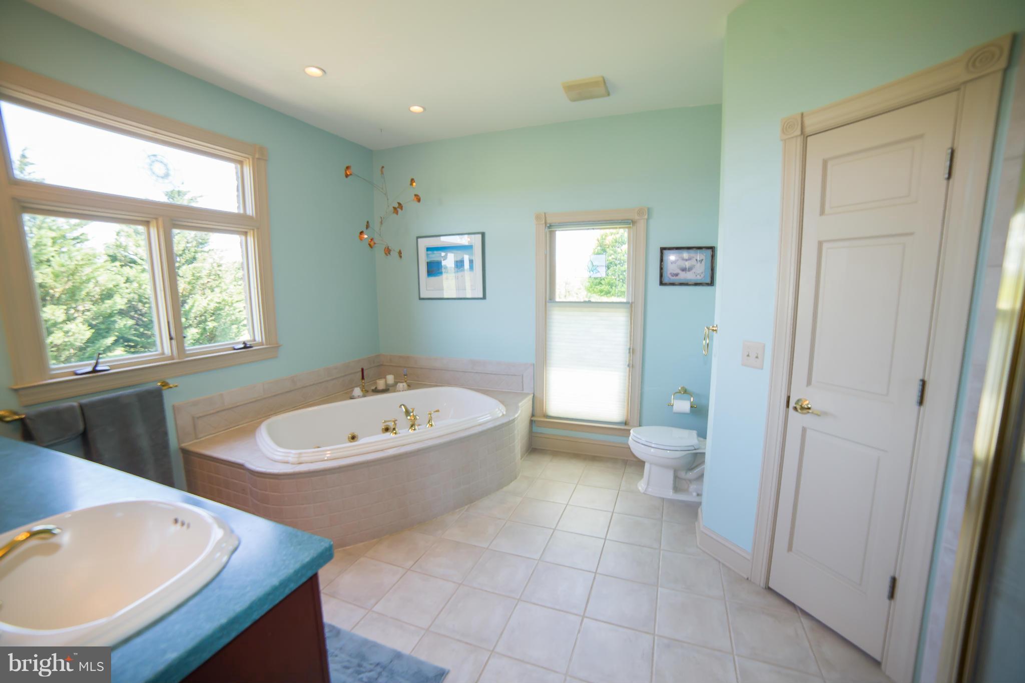 36876 Paxson Road Purcellville, VA 20132 - Photo 17 of 30 Bath (Master)