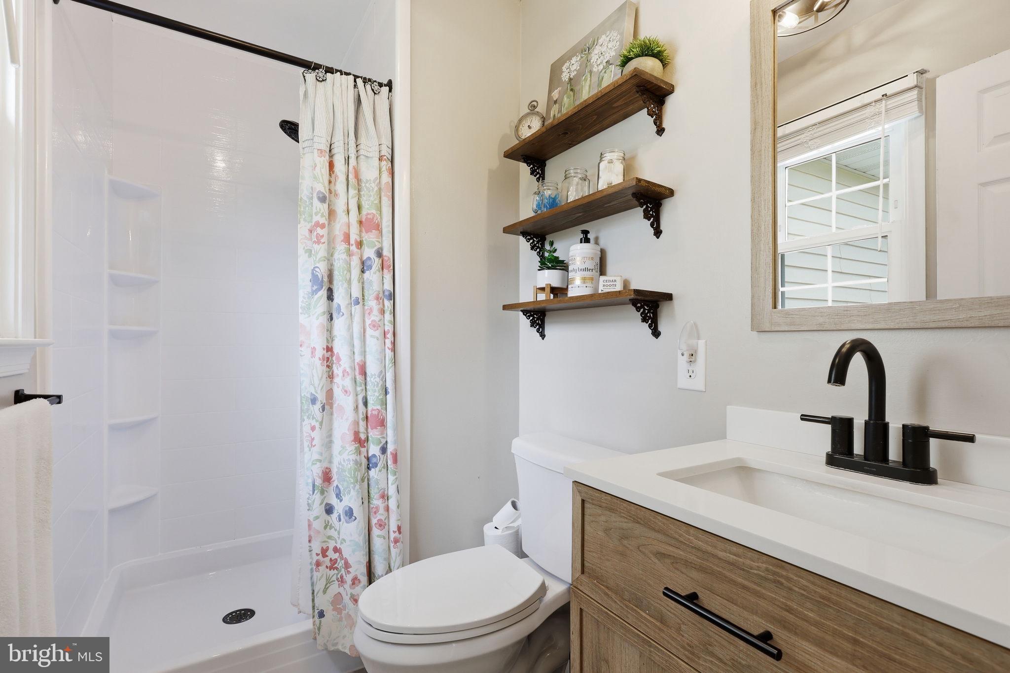 18583 Springs Road Jeffersonton, VA 22724 - Photo 21 of 43 Primary Bathroom