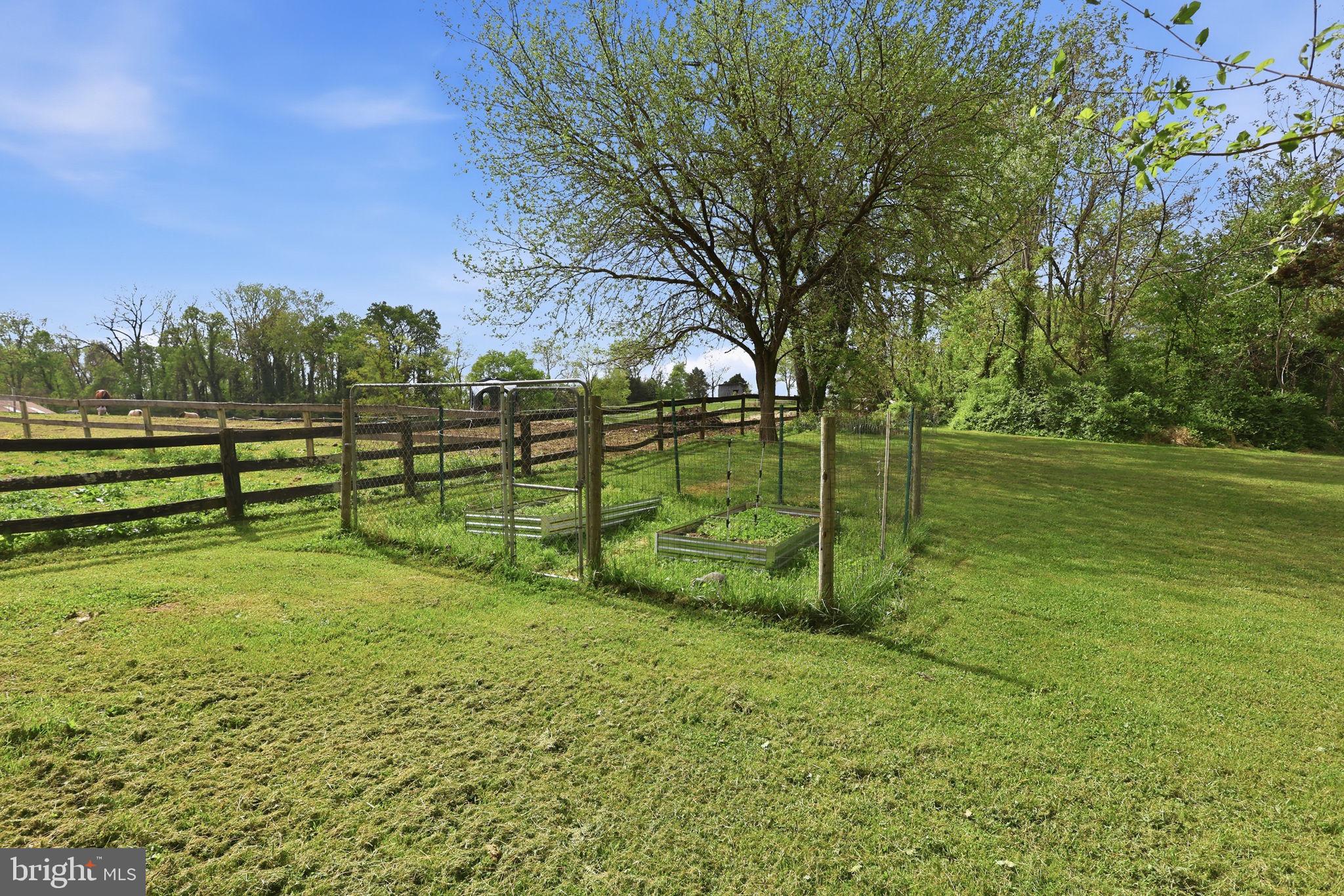 18583 Springs Road Jeffersonton, VA 22724 - Photo 37 of 43