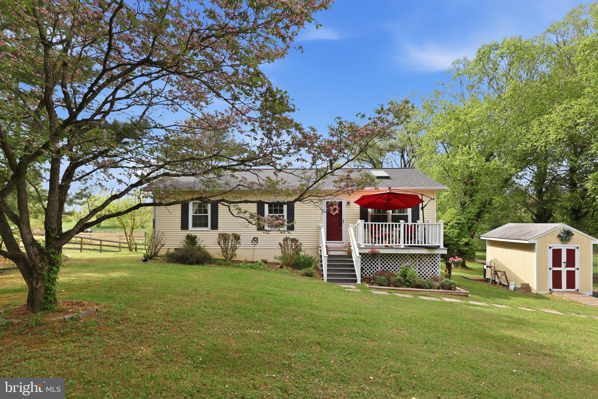 18583 Springs Road Jeffersonton, VA 22724 - Photo 5 of 43