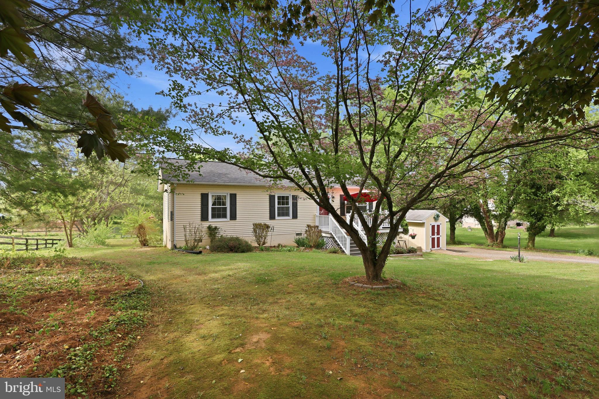 18583 Springs Road Jeffersonton, VA 22724 - Photo 6 of 43