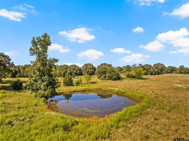 a view of a lake with houses in the back