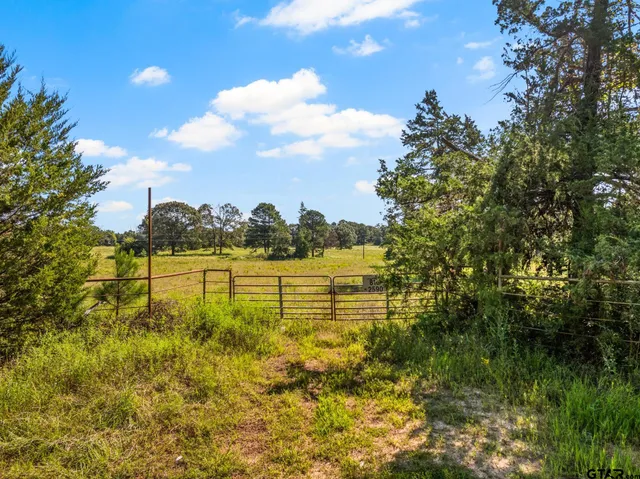 $269,000 | 816 Cr 2590 Marietta Tx 75566, Naples, TX 75568