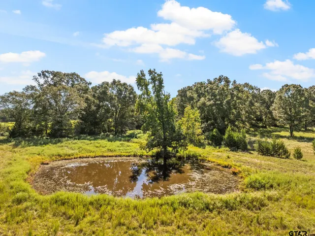 a view of a yard with an outdoor space