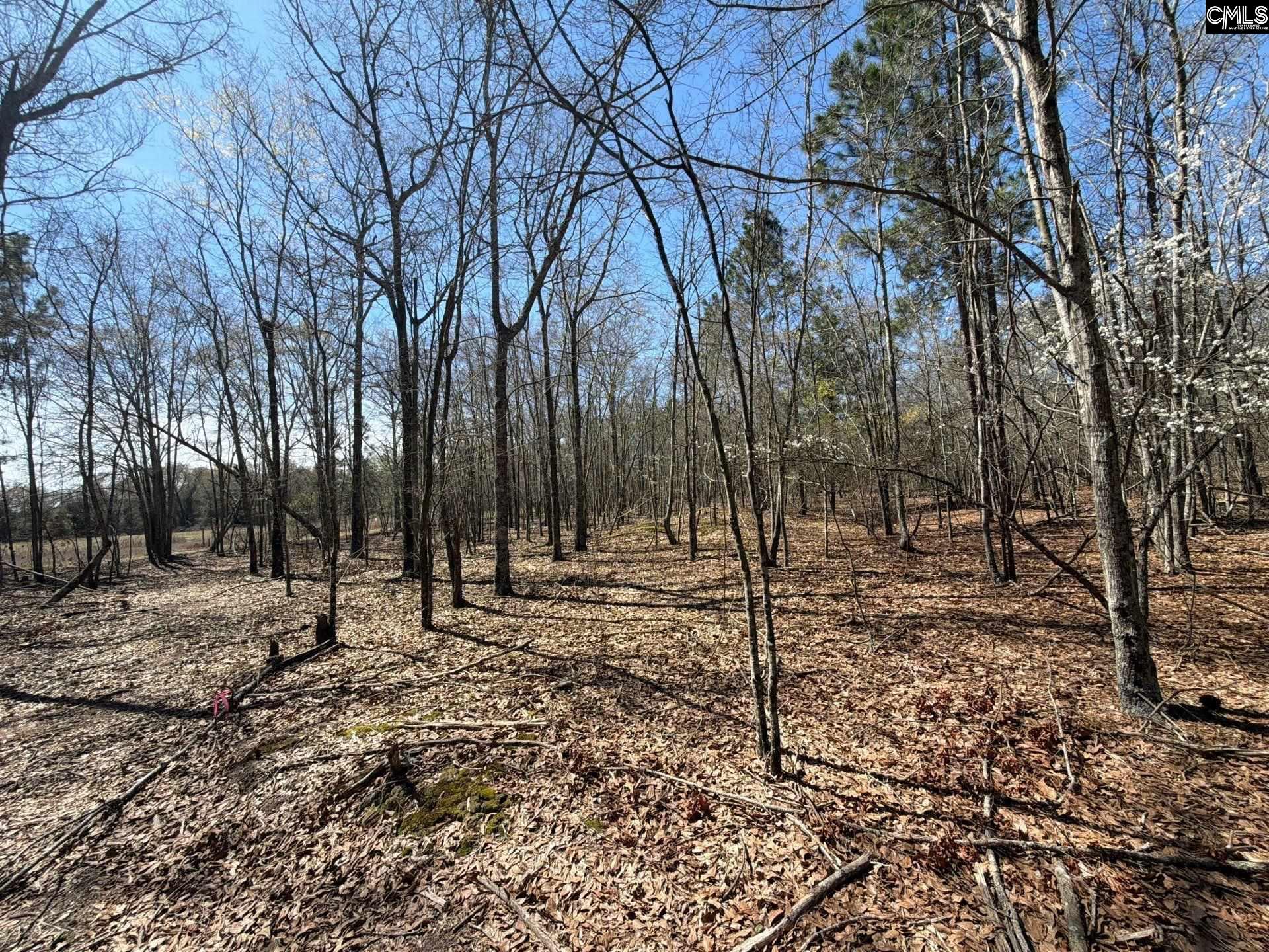 9 Boise Cascade Road, Unit BHL 9 Bethune, SC 29009 - Photo 14 of 44