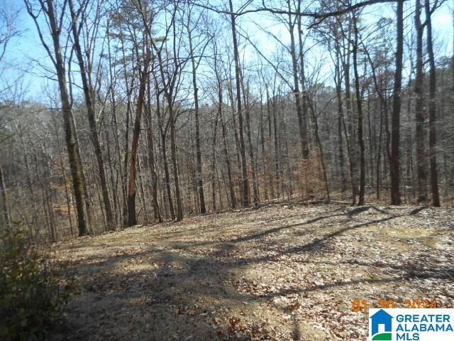 7483 Old Dixiana Road Pinson, AL 35126 - Photo 11 of 12