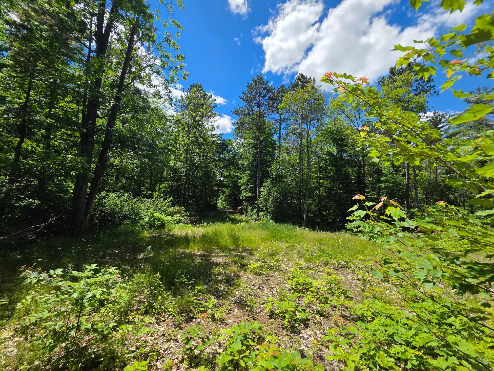 N11478 Cottage Road Tomahawk, WI 54487 - Photo 19 of 27 Gallery Image 19