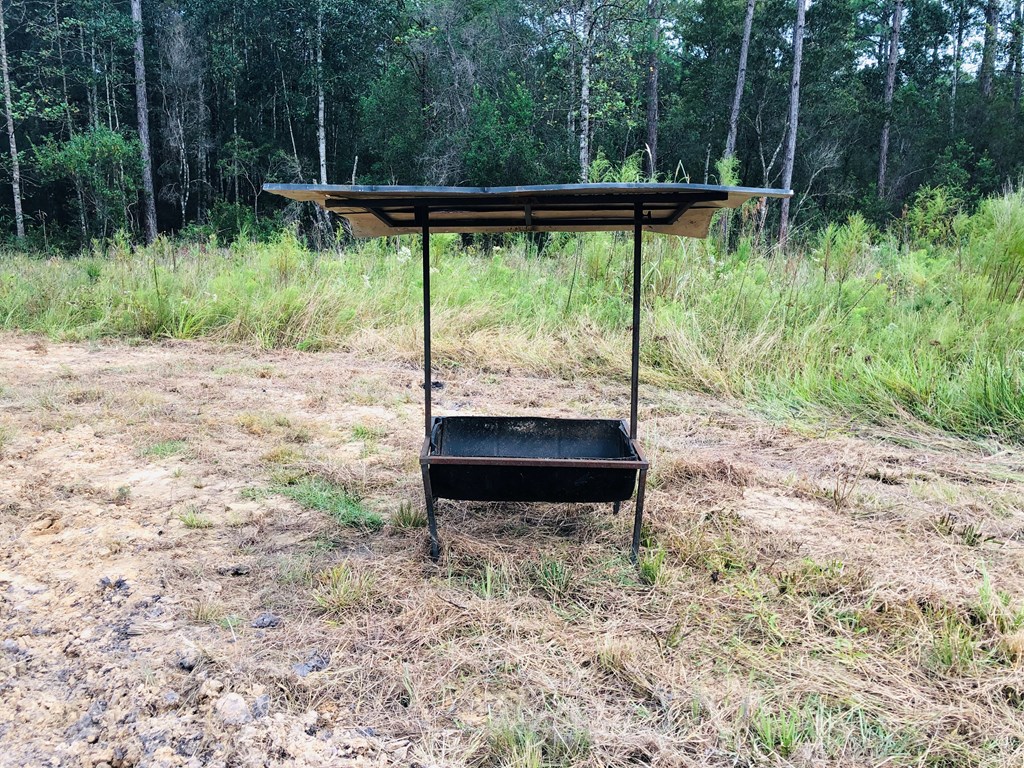 Undisclosed Address Samson, AL 36477 - Photo 5 of 39