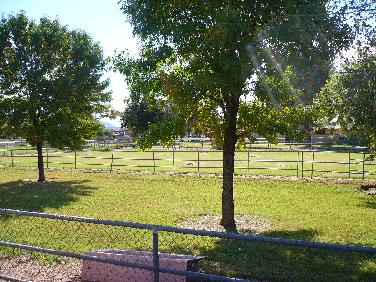 6347 West Vineyard Road Laveen, AZ 85339 - Photo 13 of 17 BACK YARD
