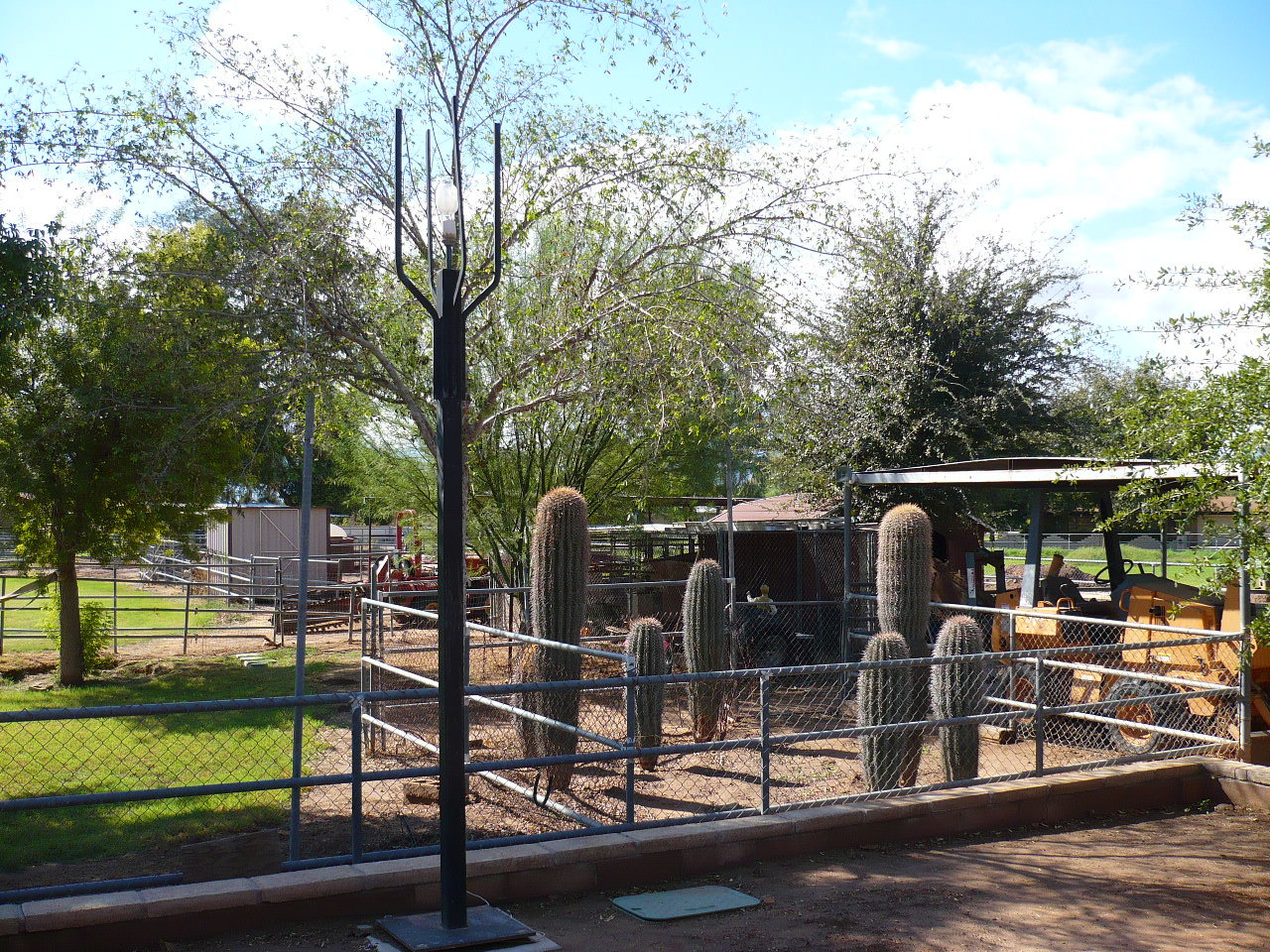 6347 West Vineyard Road Laveen, AZ 85339 - Photo 14 of 17 BACK YARD