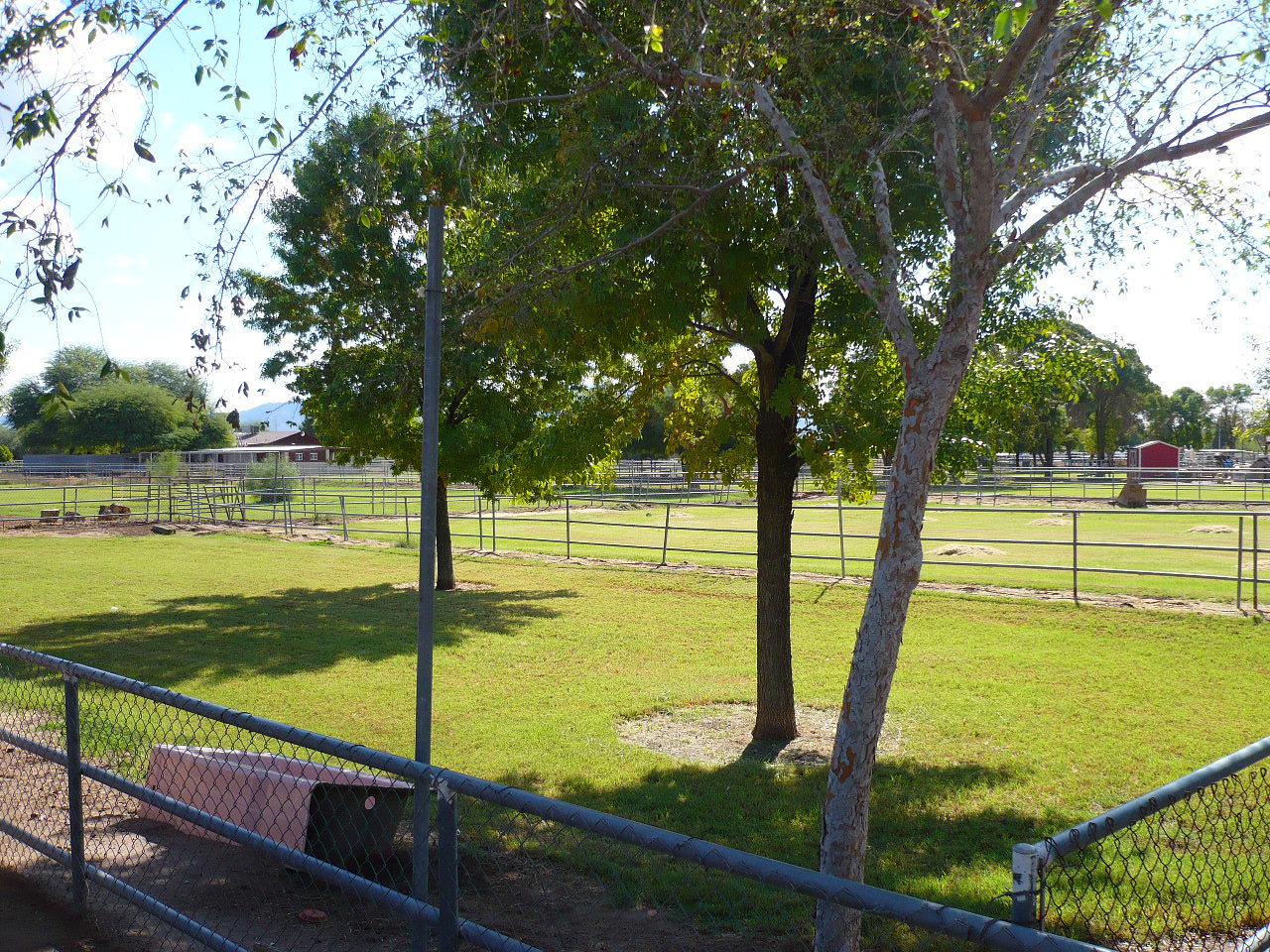 6347 West Vineyard Road Laveen, AZ 85339 - Photo 15 of 17 BACK YARD