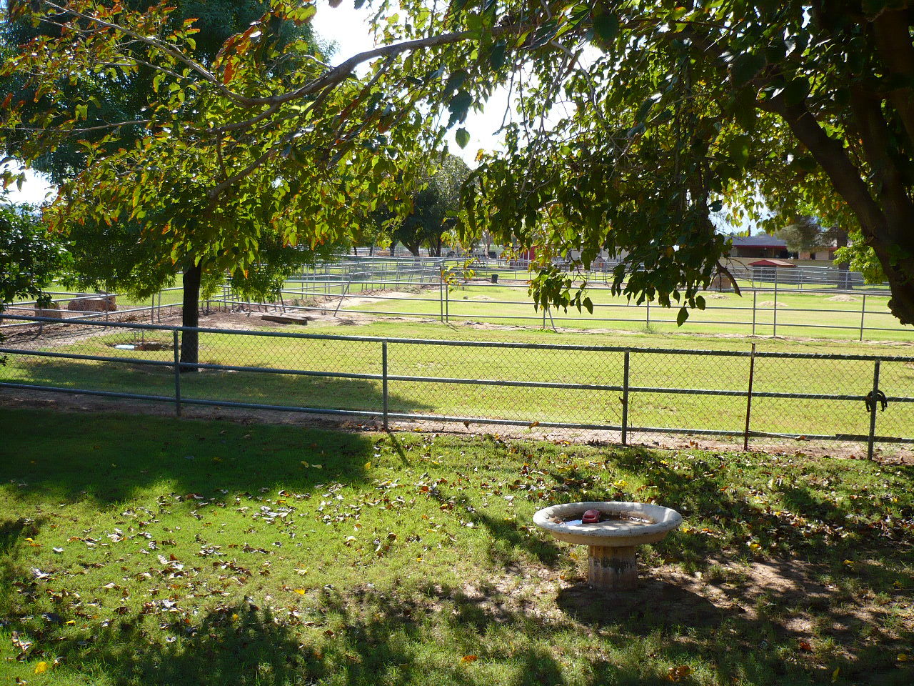6347 West Vineyard Road Laveen, AZ 85339 - Photo 17 of 17 SIDE VIEW OF THE YARD