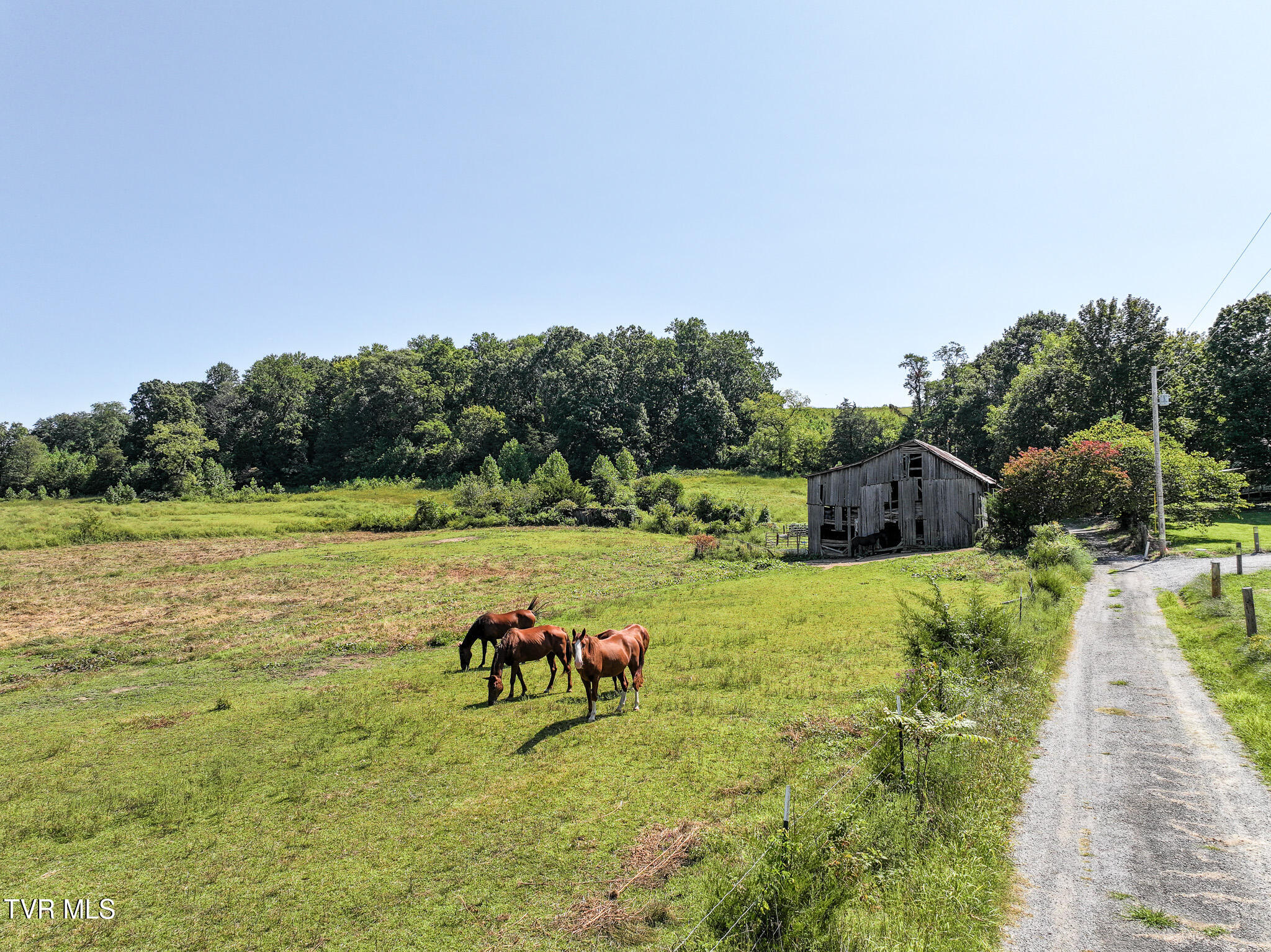 32-ac Blake Lane Chuckey, TN 37641 - Photo 11 of 12 DJI_20250910082327_0011_D