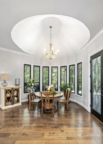 a plant that is in a garden