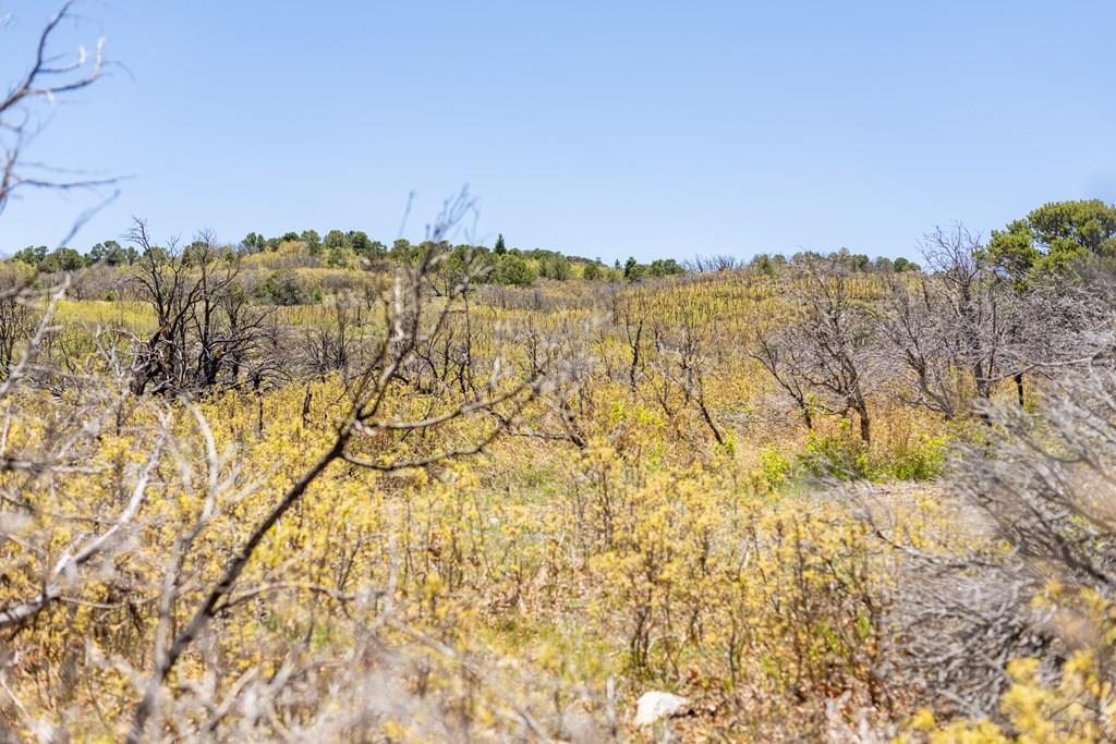 Lot 25 Majors Ranch Walsenburg, CO 81089 - Photo 20 of 34