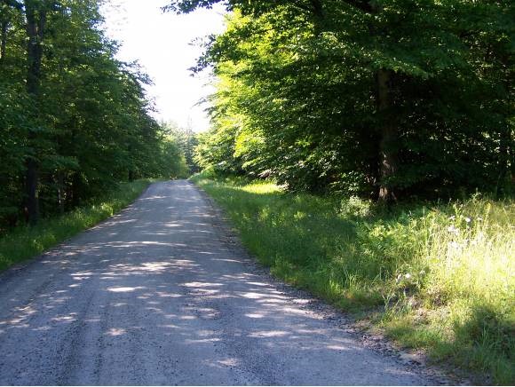 Baker Hill Road North Sutton, NH 03260 - Photo 1 of 1