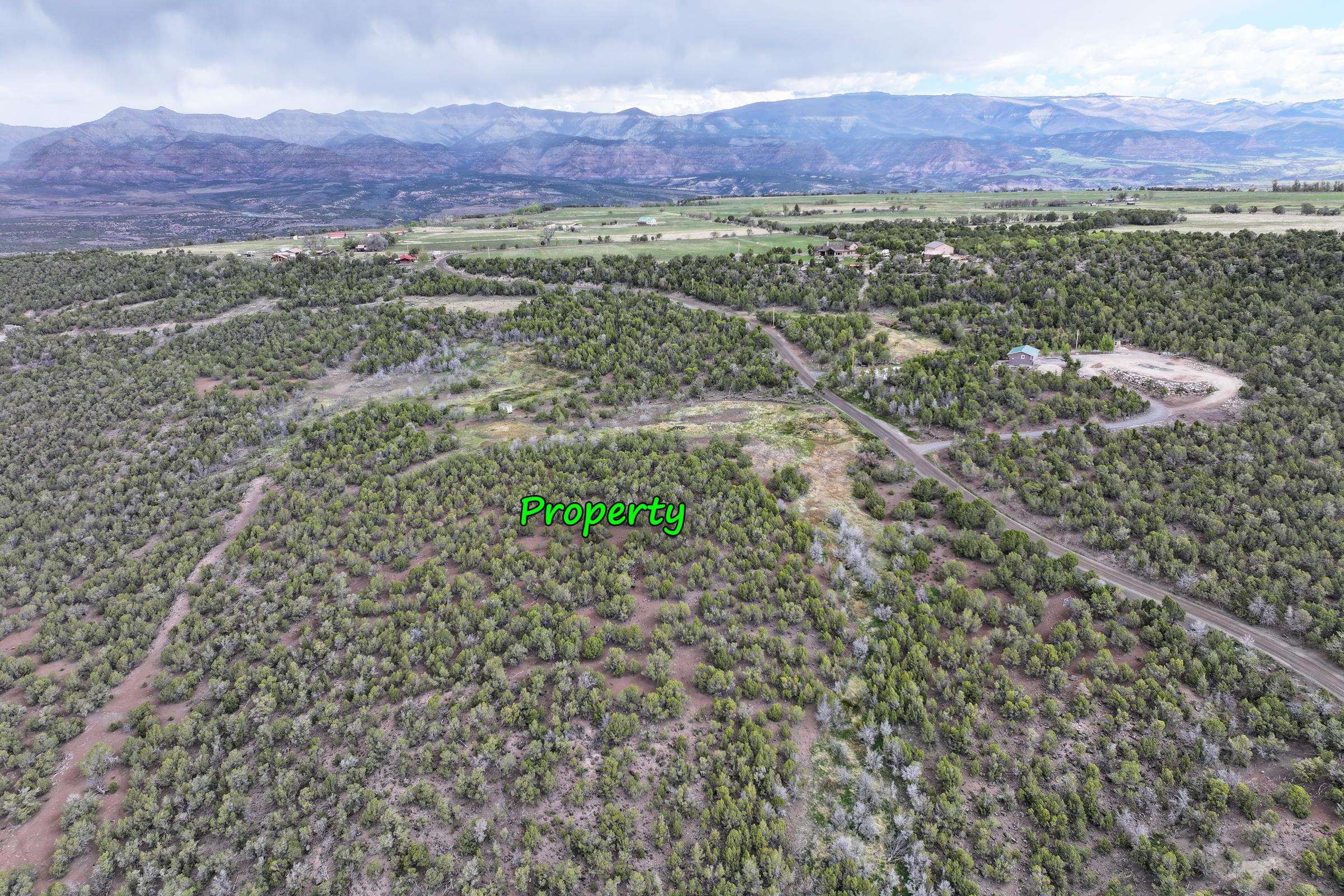 12705 55 Road Collbran, CO 81624 - Photo 25 of 31 a view of a lush green hillside and houses